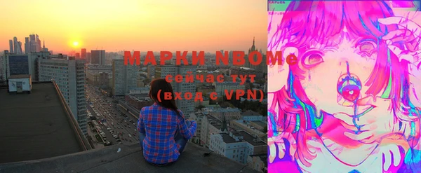 шишки Верея